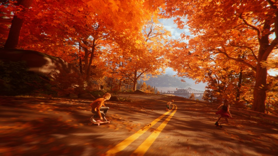Three friends skating downhill through orange trees in Mixtape